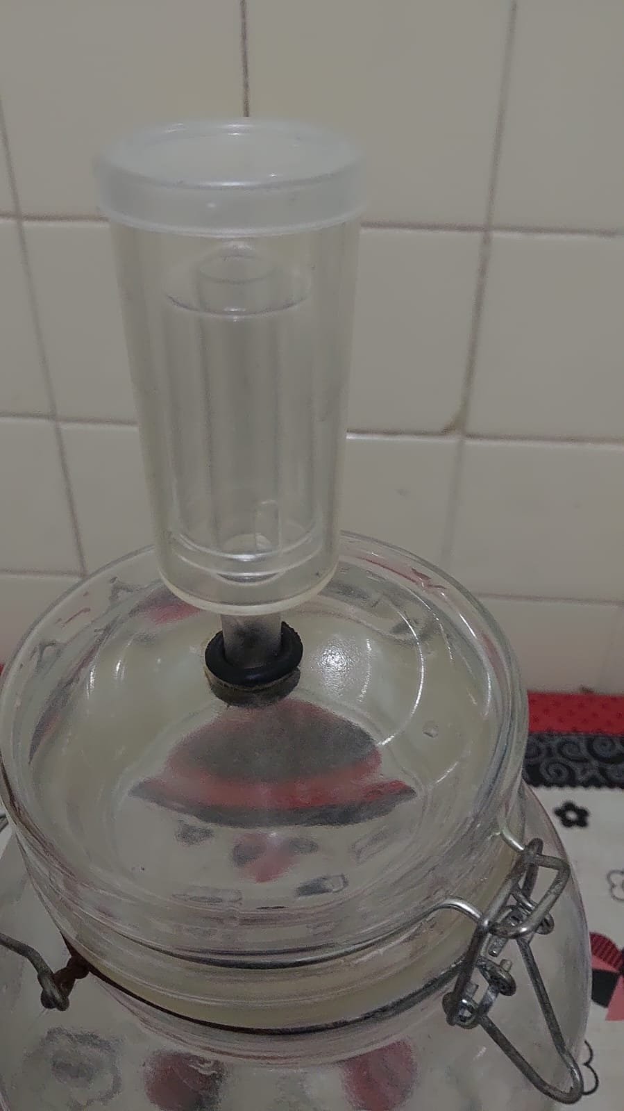 Fermentador de Vidro com 3,8 Litros - Imagem 4