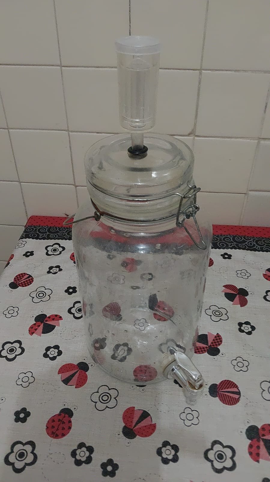 Fermentador de Vidro com 3,8 Litros - Imagem 5