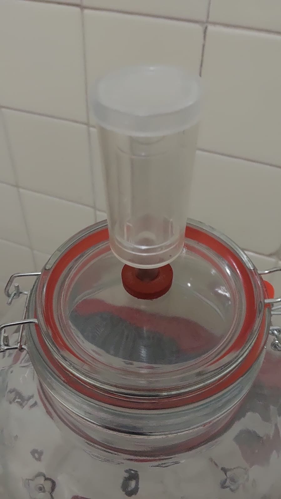 Fermentador de Vidro 8,0 Litros - Imagem 11