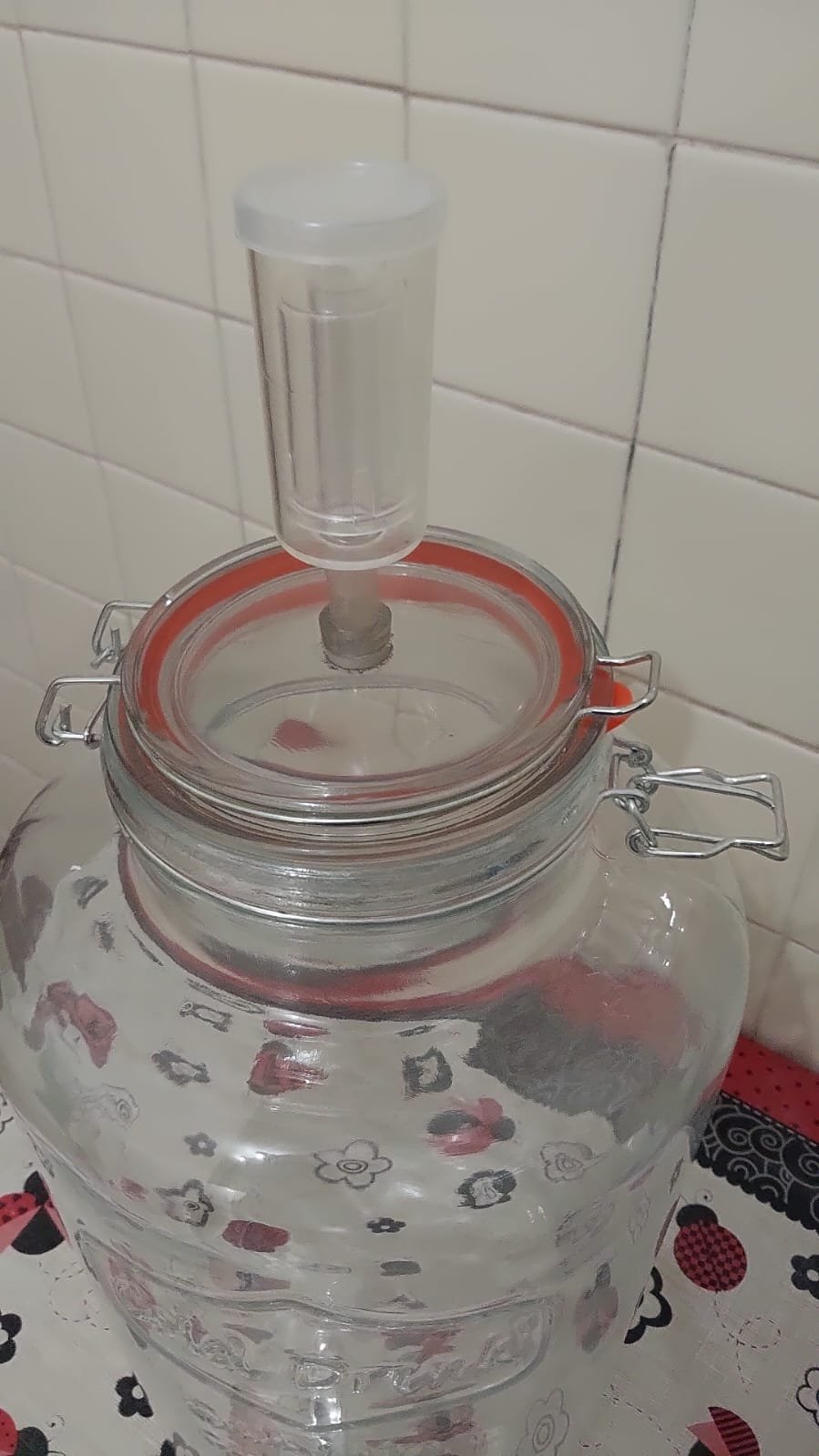 Fermentador de Vidro 8,0 Litros - Imagem 6