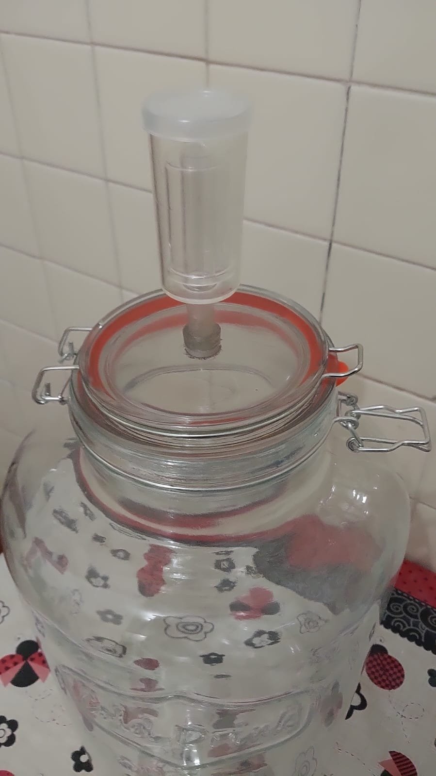 Fermentador de Vidro 8,0 Litros - Imagem 7