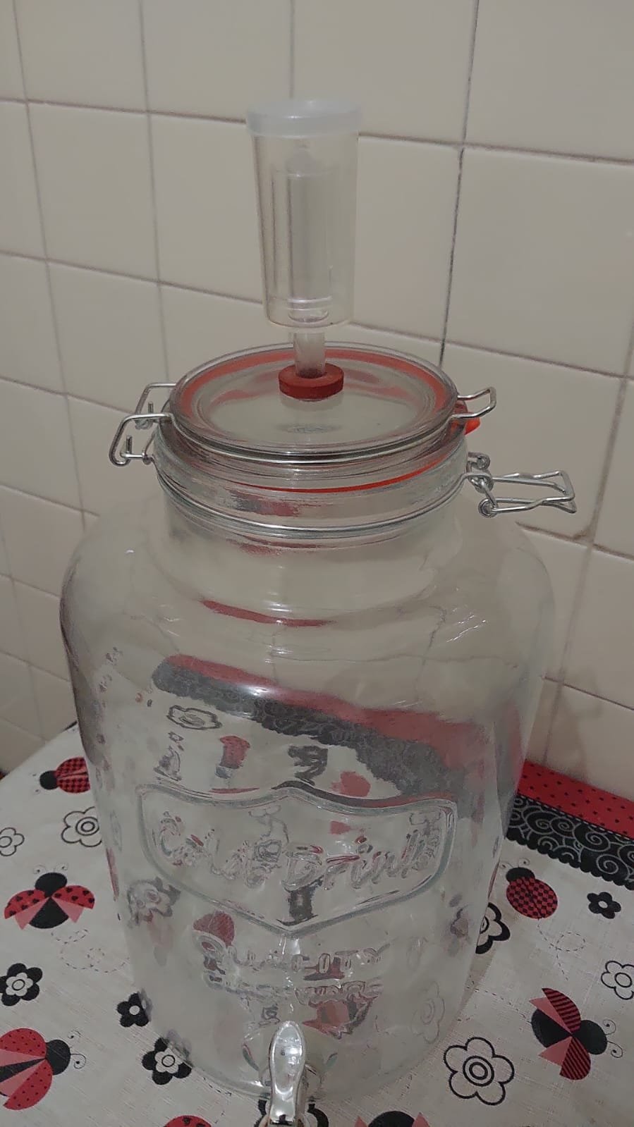 Fermentador de Vidro 8,0 Litros - Imagem 13