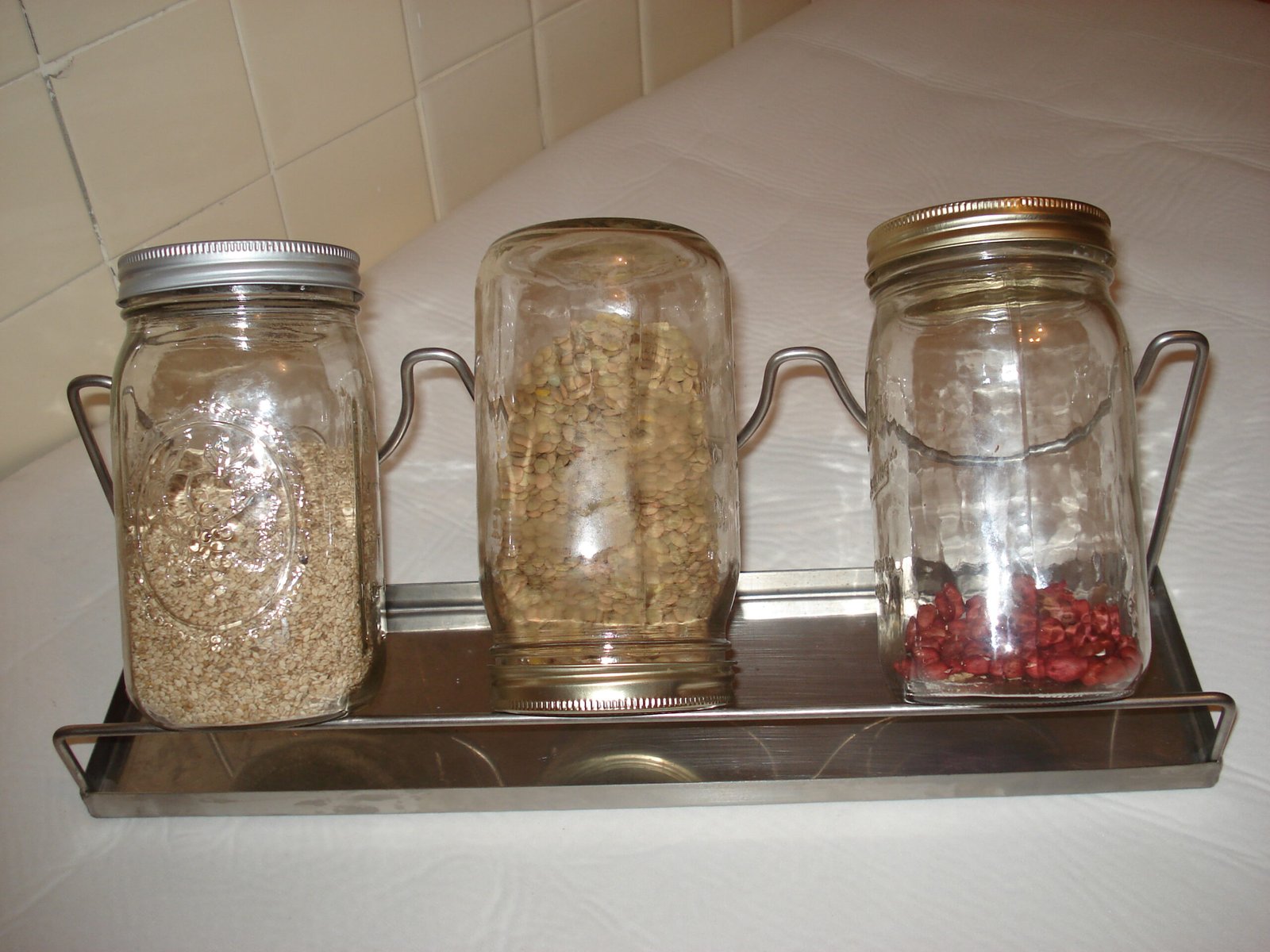 Kit de Germinar Grãos e Sementes - Imagem 3